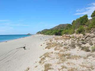 Playa de El Torn